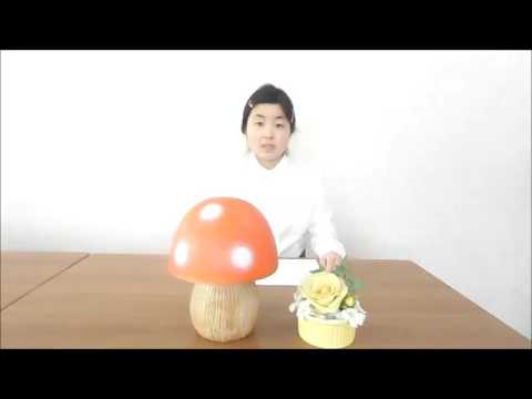 春休み勉強合宿のおしらせ　新中学１年生から新高校１年生対象