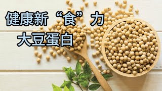 健康新“食”力-大豆蛋白