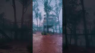 Misty Mornings at Nandi Hills, near Bengaluru #bangalore