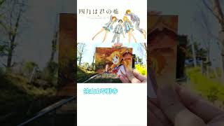四月は君の嘘  聖地巡礼  Your Lie in April