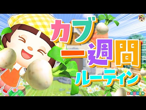 【あつ森】カブで稼ぐズボラ女子一週間のうた【あつまれどうぶつの森】ゆっきーGAMEわーるど
