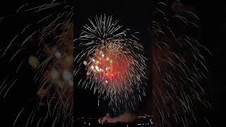 2024元宵节快乐！
