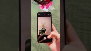 #top5video #shortvideo #video 🤣🤣🤣🤣🤣🤣🤣🤣🤣