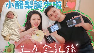 「小酪梨🥑特輯」盈盈生產全記錄
