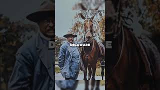 8 Crazy Facts From Delaware You Never Knew 😳🤯 #history #crazyfacts #usahistory