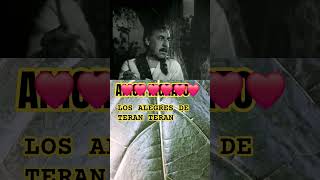 #LOS #ALEGRES #DE #TERAN