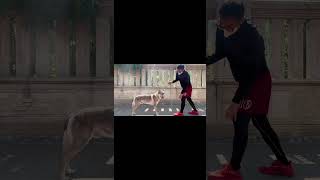 #捷克狼犬 #猛犬 #猛犬保镖 #冠军犬 #萌宠出道计划 带冠军🏆公🐺Monster出门了，太久没做社会化一直在犬舍活动，表现的不够好！
