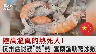 陸高溫真的熱死人! 杭州活蝦被「熱」熟 雲南鐵軌需冰敷  ｜TVBS新聞