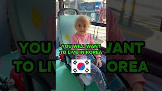 After this you WILL WANT TO LIVE IN SOUTH KOREA 🤤 #travel #korea #travel #seoul #korean