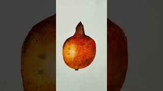 pomegranate steps #artistsoninstagram #artscene #artworld #art #artistlife #watercolor #artist