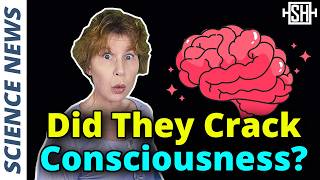Researchers find major clue to consciousness