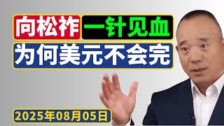 向松祚：美元完了？