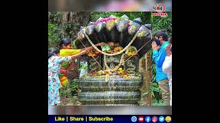 నాగుల పంచమి విశిష్టత తెలుసా || naga panchami story in telugu/naga panchami importance #shorts
