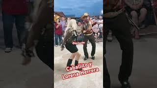 Pulga de Alamo Texas #music #musica #youtubeshorts #lol #dance #automobile #humor #trending #shiv