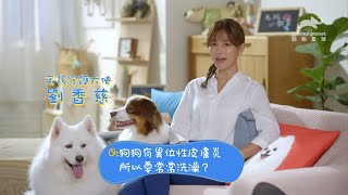 【毛孩小教室】汪汪的皮膚與關節照護｜動物星球頻道