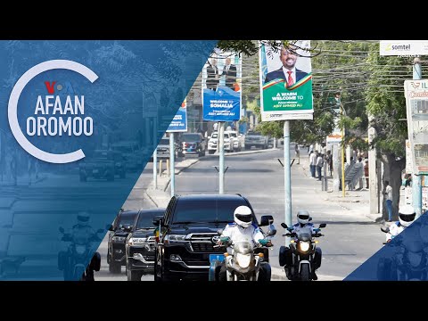 Abiyyi Yeroo Moqaadishoo Ga’u Dhuukasni Al-shaabaab Irraa Ta’uu Shakkamu Dhagahu Jiraattoonni Ibsan