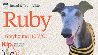 Ruby Training Video