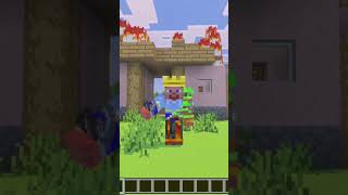 My application to soul forge SMP￼.            #soulforge #minecraft #mincraftgaming