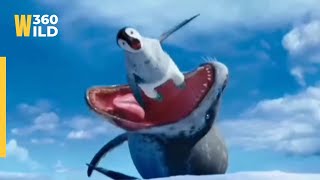 The Most Powerful Animal Bites Ever Recorded || WILD360 #youtube