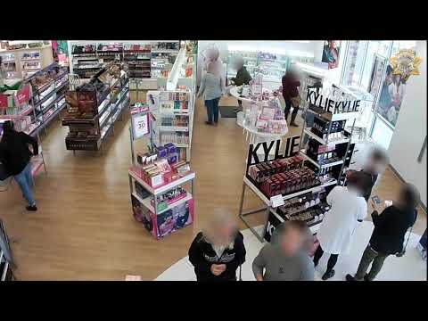 Ulta Store Burglary