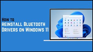 How to reinstall Bluetooth Drivers on Windows 11?