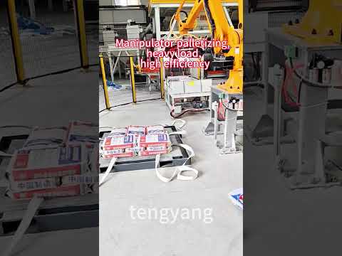 #automationequipment #palletizermachine #industryrobot #palletizingrobot #palletizing  #fyp