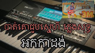 បាត់គោជួបស្នេហ៍  ភ្លេងសុទ្ធ អកកាដង់ 🎹