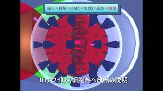 新型コロナウイルス　放出　解説No.６