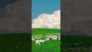 Windows 95: The G.O.A.T. Edition! 🐐💻 | unleashed people #windows #window95 #tech