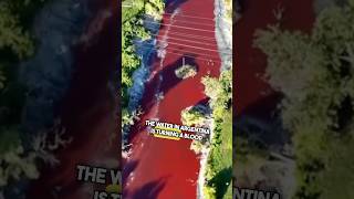 Water In Argentina Is Turning Red 😳
