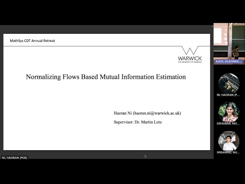 Normalizing Flows Based Mutual Information Estimation