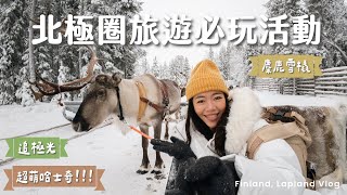 【 芬蘭獨旅 】 北極圈必玩三個活動！聖誕老人麋鹿雪橇、超萌哈士奇雪橇、追極光一次滿足！