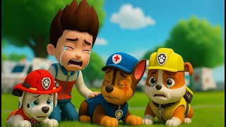 Oh no!! Poor All Pups Needs Help! | Paw Patrol Rescue Team - Rainbow 3 | Very Sad Story