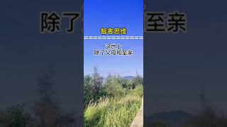 智者思维3