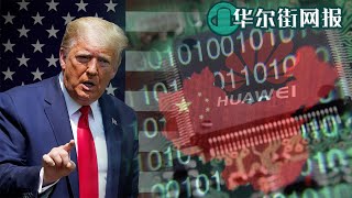 华为悲情告白：美国制裁压境，麒麟芯片无法制造将成绝响；高通展开游说攻势为华为求情，被曝刚被华为侵权，好了伤疤忘了疼？共和党顶级金主与川普电话交战 赌场大亨9位数支票难保引党内震惊【字幕版】
