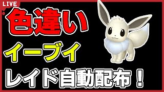 【ワンパン最速】色違いイーブイレイド自動配布！【ポケモンSV】#12