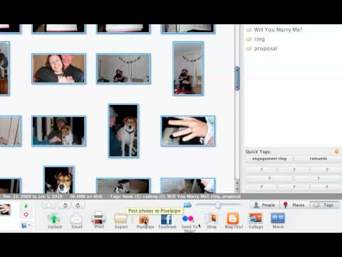 Sharing Photos