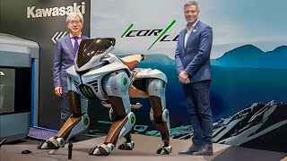 2025 NEW KAWASAKI CORLEO INTRODUCED!!
