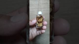 Lhoy Agimat #41 Kahoy tagulilong palipatlipat ng lugar/sa mahal araw