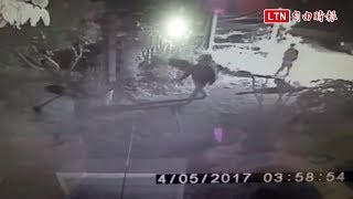 暴力討債 欠5千元「烏龜刑」伺候
