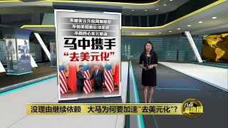 用本地货币结算   比大幅波动的美元更靠谱? | 八点最热报 08/04/2023