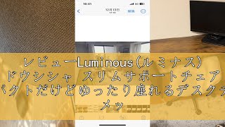 レビューLuminous(ルミナス) ドウシシャ スリムサポートチェア コンパクトだけどゆったり座れるデスクチェア メッシュ なめらかカーブ 姿勢 オフィス 椅子 座面奥行背面大きく 床を傷つけにくい