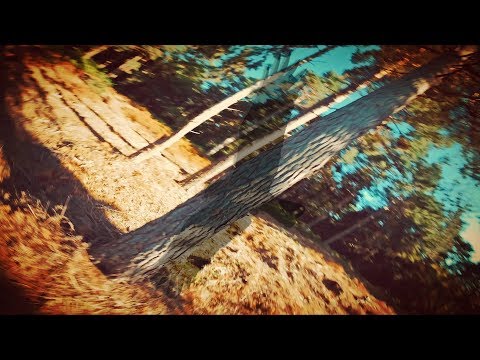 Proximity next level attempt 🌲- TBS Source One ~ FPV Freestyle