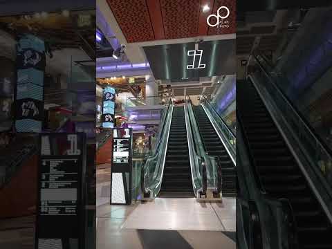 ALAN PHOTO SINGAPURE AT FUNAN MALL | #alanphoto #singapore #photography #videography