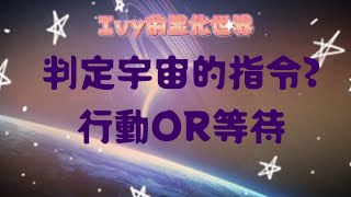【Ivy靈性課堂】顯化時如何確定宇宙的指令？是即刻行動還是繼續等待？吸引力法則｜假設法則｜顯化