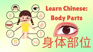 Learn Chinese: Body Parts | 了解身体部位的中文名称 | Educational Videos