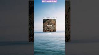 齋藤冬優花 #本日の1曲 ♪#35 back number 水平線 2024年7月16日