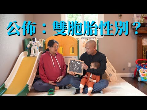 因特殊原因，提前公佈雙胞胎的性別！遺憾中帶著祝福┃奶爸洛奇