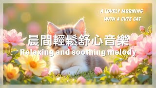 小輕快旋律 輕鬆的放鬆時光 Small light melody, relaxing time | 適合晨間放鬆,午茶時光,輕鬆聚會的純享音樂.Morning Music #playlist