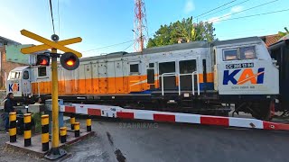 RAILWAY CROSSING 6 | Kompilasi Perlintasan Kereta Api Garut